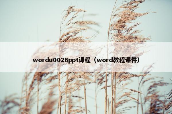 wordu0026ppt课程（word教程课件）