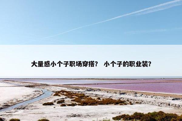 大量感小个子职场穿搭？ 小个子的职业装？