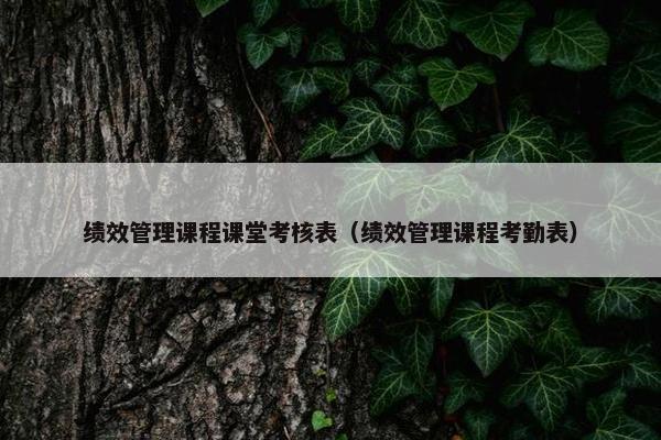 绩效管理课程课堂考核表（绩效管理课程考勤表）
