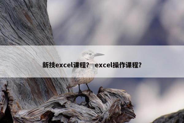 新技excel课程？ excel操作课程？