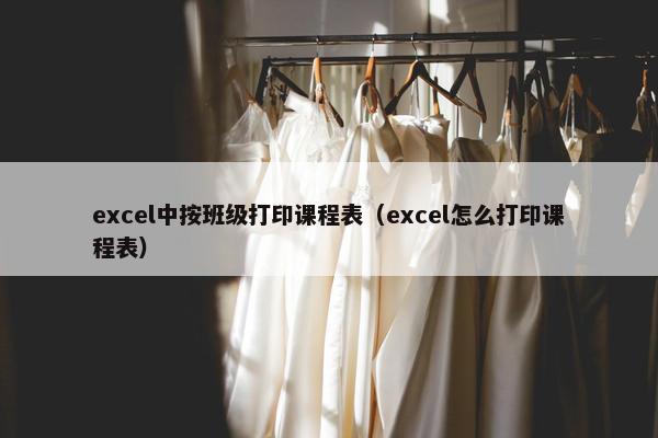 excel中按班级打印课程表（excel怎么打印课程表）