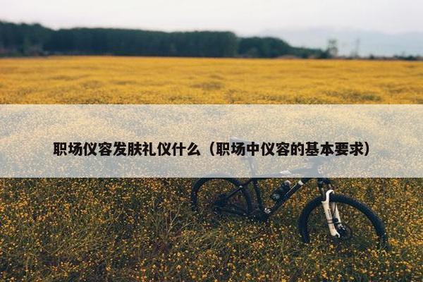 职场仪容发肤礼仪什么（职场中仪容的基本要求）
