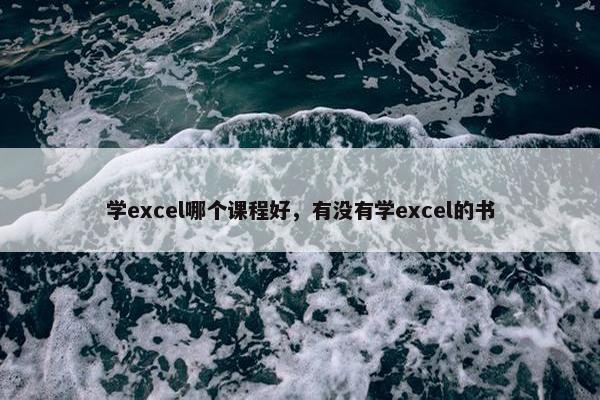 学excel哪个课程好，有没有学excel的书