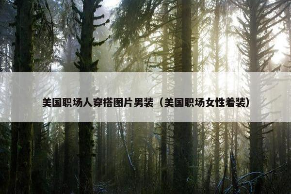 美国职场人穿搭图片男装（美国职场女性着装）