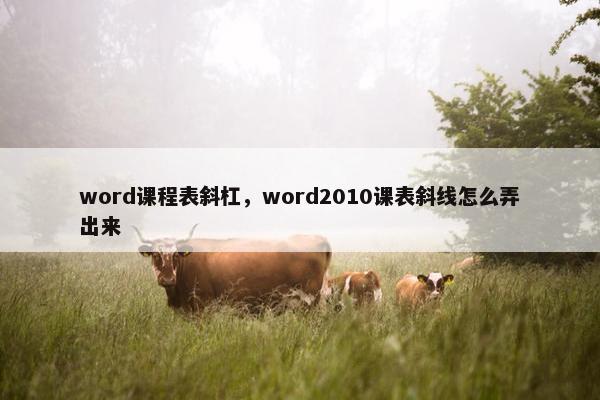 word课程表斜杠，word2010课表斜线怎么弄出来