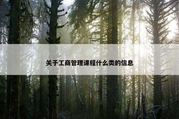 关于工商管理课程什么类的信息