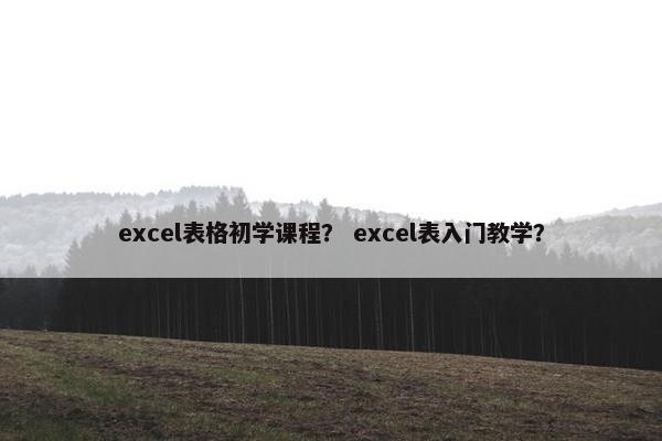 excel表格初学课程？ excel表入门教学？