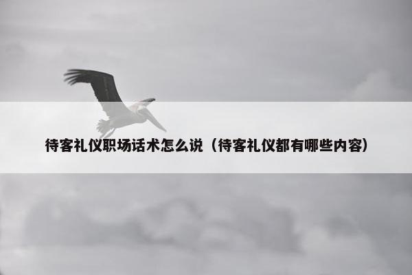 待客礼仪职场话术怎么说（待客礼仪都有哪些内容）
