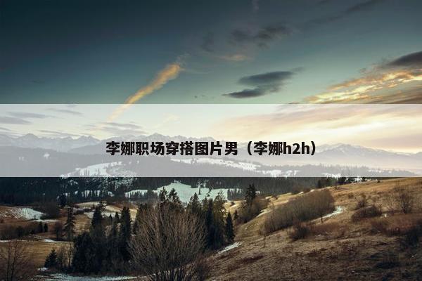 李娜职场穿搭图片男（李娜h2h）