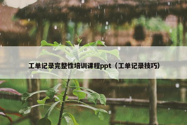 工单记录完整性培训课程ppt（工单记录技巧）