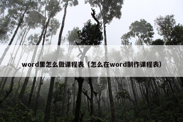 word里怎么做课程表（怎么在word制作课程表）