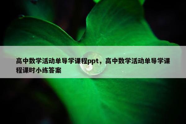 高中数学活动单导学课程ppt，高中数学活动单导学课程课时小练答案