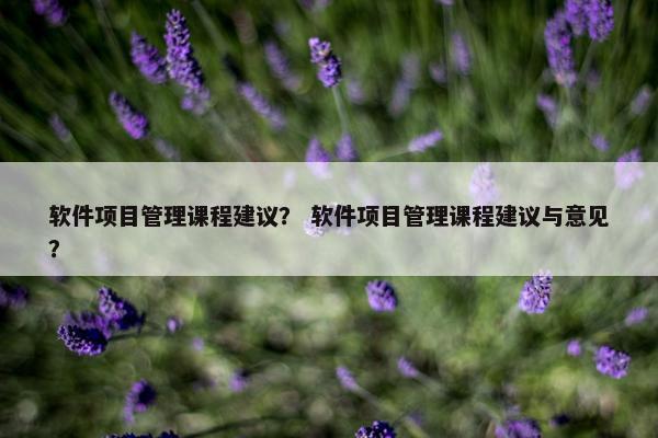 软件项目管理课程建议？ 软件项目管理课程建议与意见？