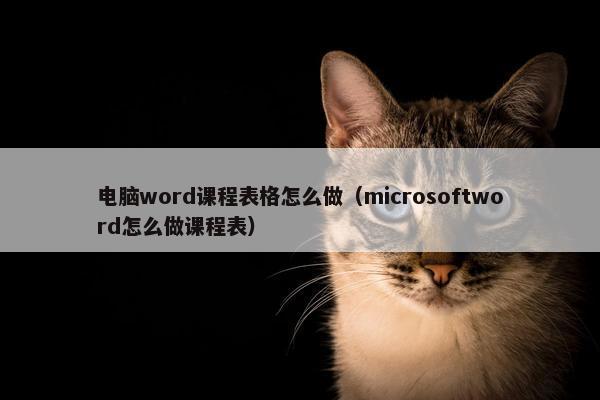 电脑word课程表格怎么做（microsoftword怎么做课程表）