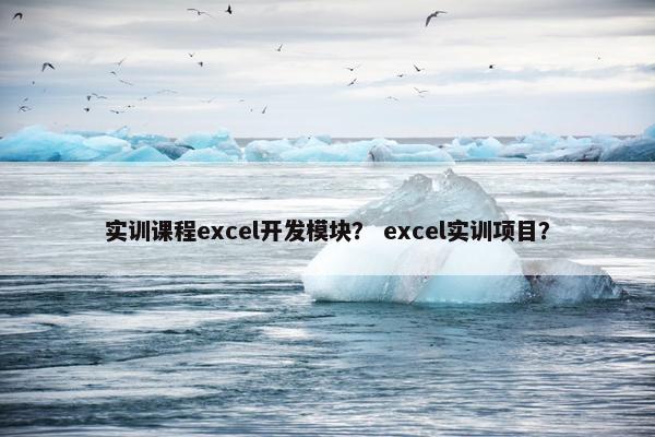 实训课程excel开发模块？ excel实训项目？