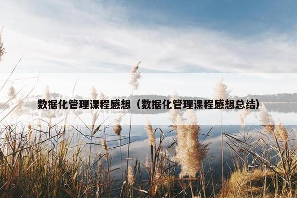 数据化管理课程感想（数据化管理课程感想总结）