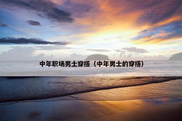 中年职场男士穿搭（中年男士的穿搭）