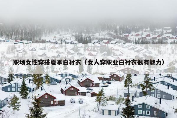 职场女性穿搭夏季白衬衣（女人穿职业白衬衣很有魅力）