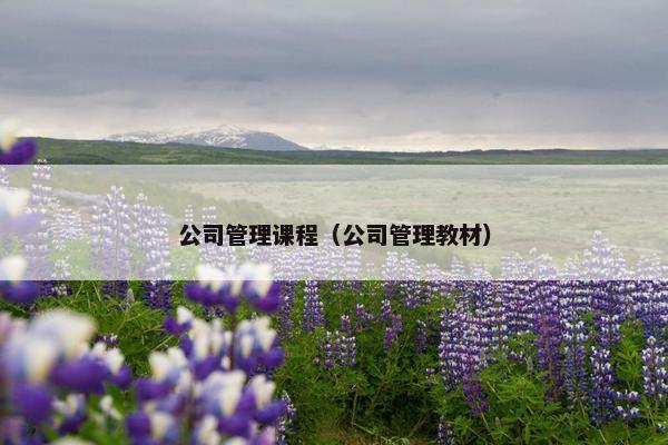 公司管理课程（公司管理教材）