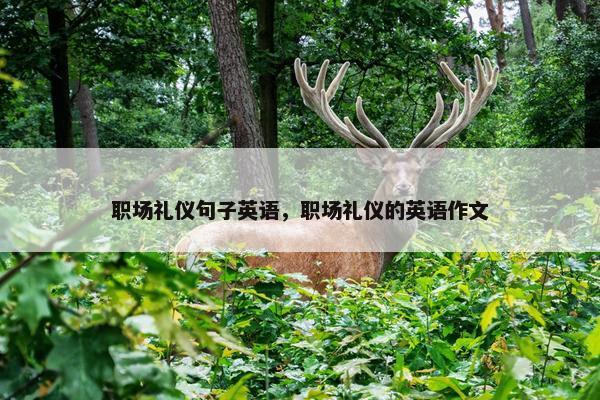 职场礼仪句子英语，职场礼仪的英语作文
