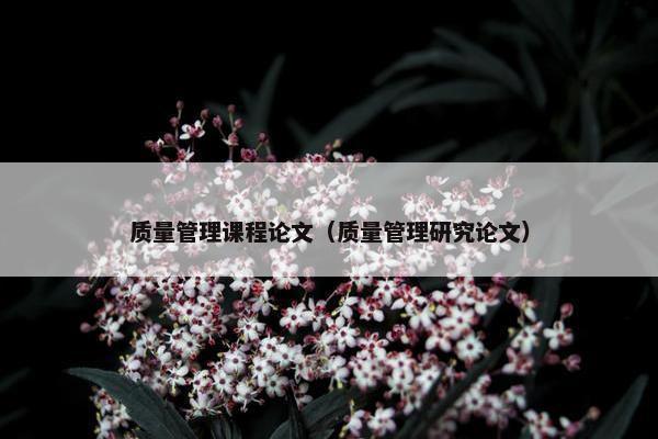 质量管理课程论文（质量管理研究论文）