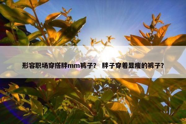 形容职场穿搭胖mm裤子？ 胖子穿着显瘦的裤子？