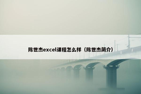陈世杰excel课程怎么样（陈世杰简介）