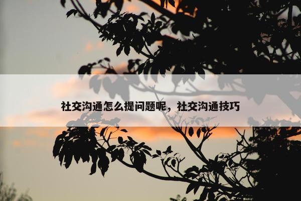 社交沟通怎么提问题呢，社交沟通技巧