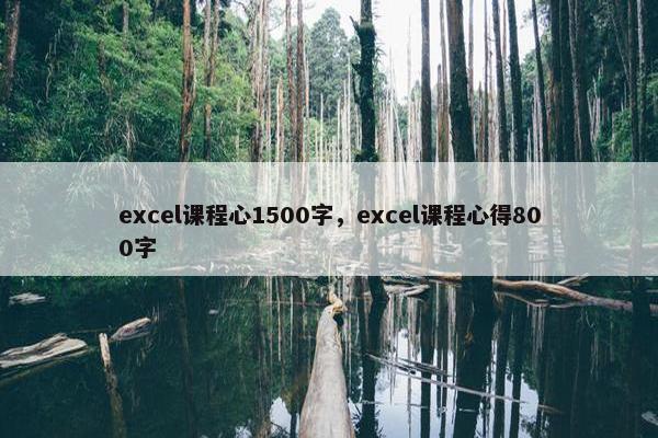 excel课程心1500字，excel课程心得800字