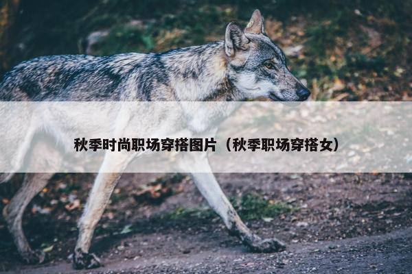 秋季时尚职场穿搭图片（秋季职场穿搭女）
