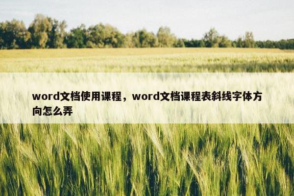 word文档使用课程，word文档课程表斜线字体方向怎么弄