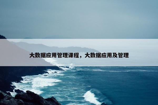 大数据应用管理课程，大数据应用及管理
