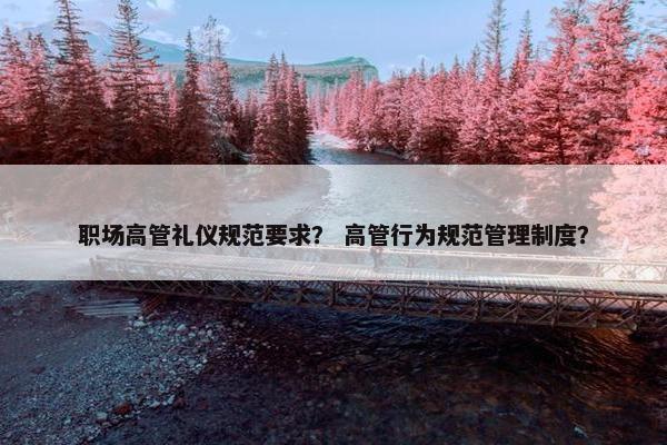 职场高管礼仪规范要求？ 高管行为规范管理制度？