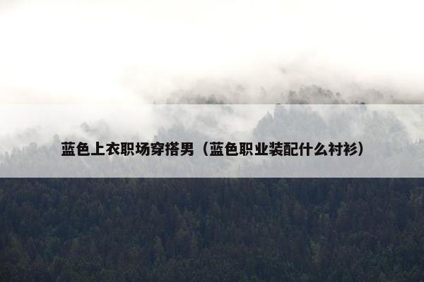 蓝色上衣职场穿搭男（蓝色职业装配什么衬衫）