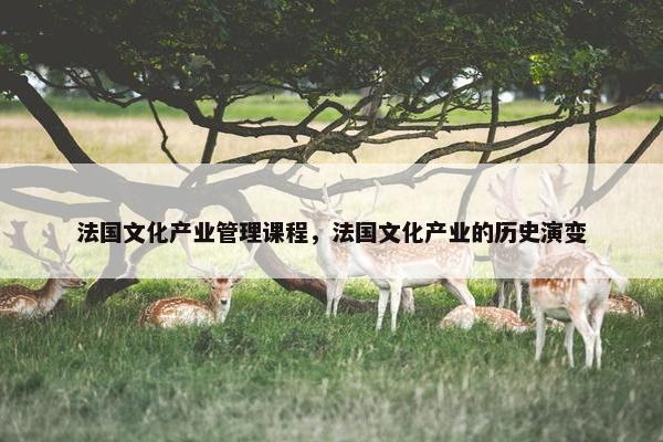 法国文化产业管理课程，法国文化产业的历史演变