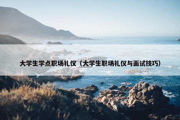大学生学点职场礼仪（大学生职场礼仪与面试技巧）