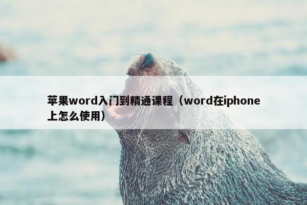苹果word入门到精通课程（word在iphone上怎么使用）