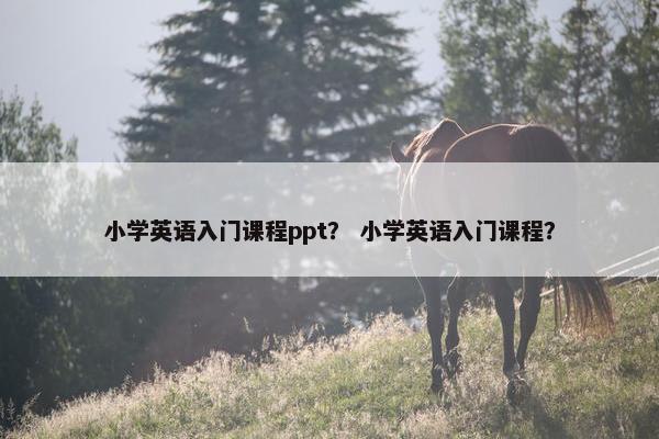 小学英语入门课程ppt？ 小学英语入门课程？