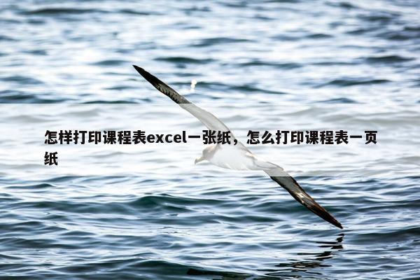 怎样打印课程表excel一张纸，怎么打印课程表一页纸