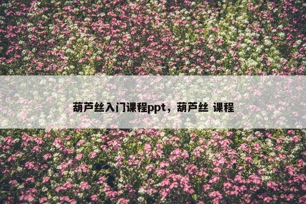 葫芦丝入门课程ppt，葫芦丝 课程