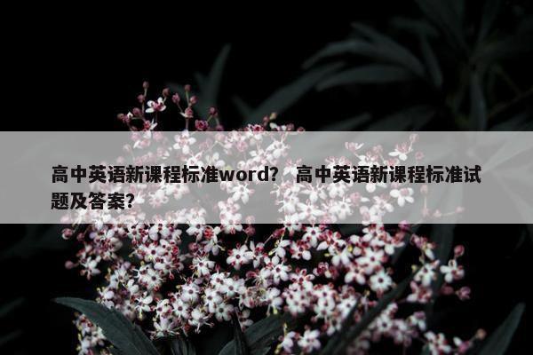 高中英语新课程标准word？ 高中英语新课程标准试题及答案？