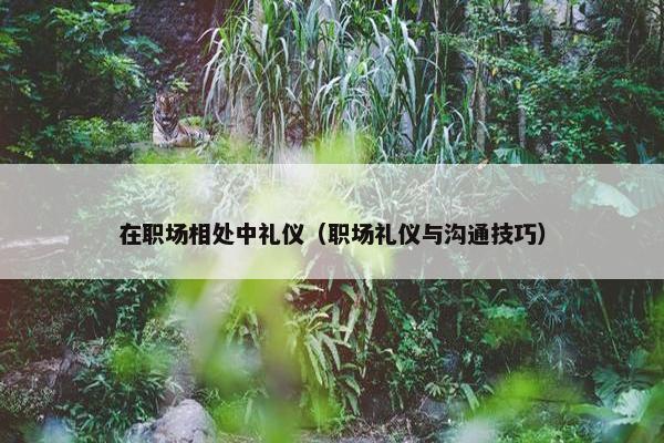 在职场相处中礼仪（职场礼仪与沟通技巧）