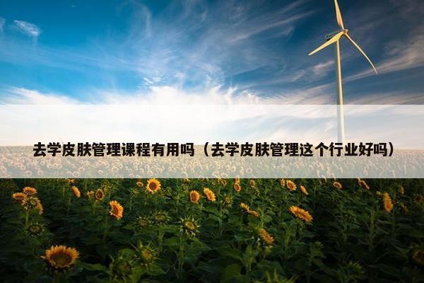 去学皮肤管理课程有用吗（去学皮肤管理这个行业好吗）