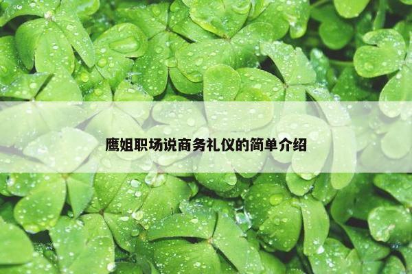 鹰姐职场说商务礼仪的简单介绍