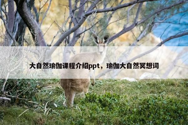 大自然瑜伽课程介绍ppt，瑜伽大自然冥想词
