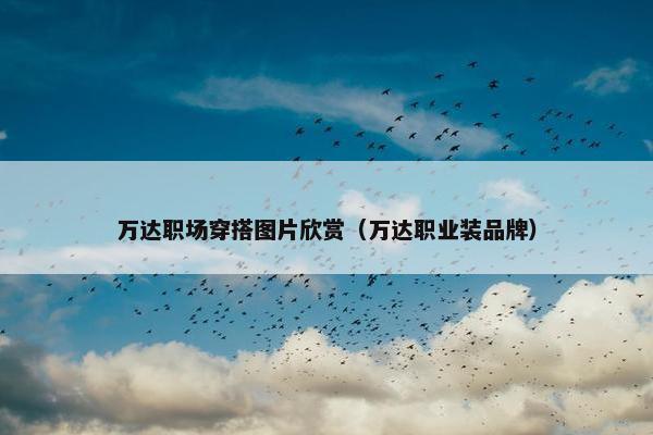 万达职场穿搭图片欣赏（万达职业装品牌）