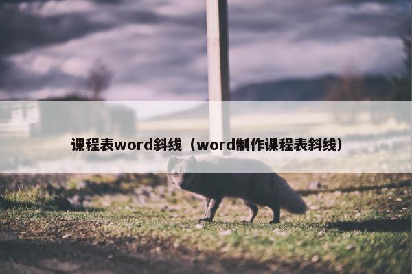 课程表word斜线（word制作课程表斜线）