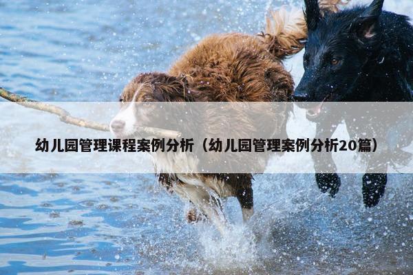 幼儿园管理课程案例分析（幼儿园管理案例分析20篇）