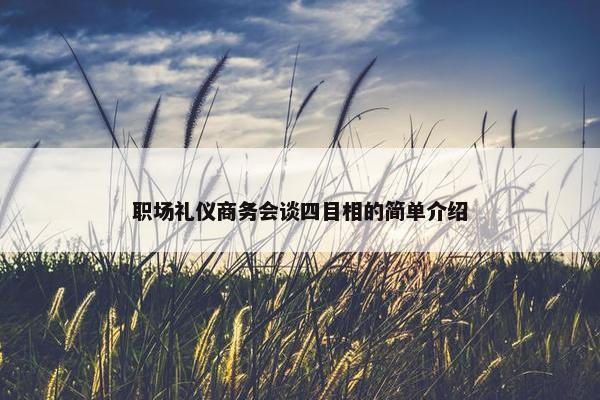 职场礼仪商务会谈四目相的简单介绍