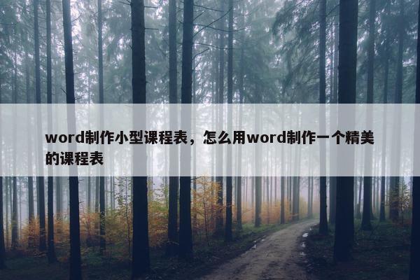 word制作小型课程表，怎么用word制作一个精美的课程表